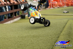 2015 DM 4WD Buggy 4WD Juni